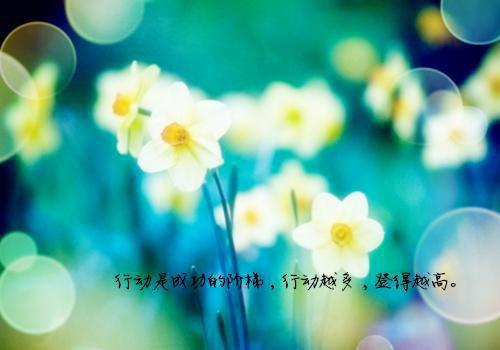 改嫁皇帝后，攻略对象跪求我回头（林沐秋沈晏修）全文免费_（林沐秋沈晏修）改嫁皇帝后，攻略对象跪求我回头后续阅读（林沐秋沈晏修）