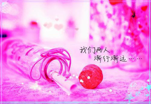 全本深情为祭，爱成虚影：（谢芸芸谢凡锃）最新章节列表_全本深情为祭，爱成虚影：全文阅读