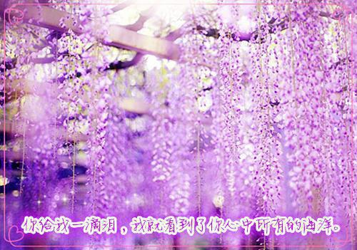 全章阅读（顾夜渊沈倾月）独下幽冥弃月华：畅销小说推荐隐藏篇章+续集