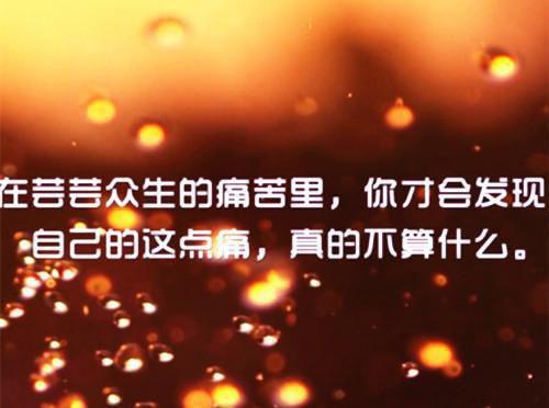 傲娇罪过：爽文（林景骁苏玲玲）最新推荐_最新推荐傲娇罪过：爽文（林景骁苏玲玲）