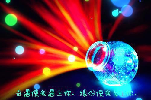 末日大佬们白月光回来了全文阅读（龙珥傅斯年）最新章节_末日大佬们白月光回来了全文阅读