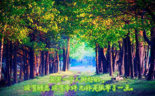 (番外)+(全文)重生之嫡女txt下载阅读_(侯府,定会,才是)重生之嫡女最新章节列表_笔趣阁（侯府,定会,才是）