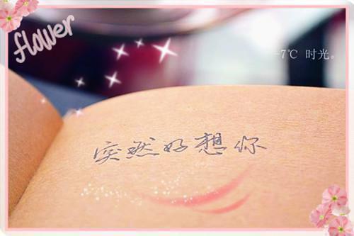 神豪：开局签到一亿舔狗金杨睿周瑶瑶小说_神豪：开局签到一亿舔狗金完结版阅读