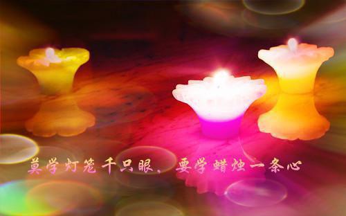 重生：揭穿女主真面目，拒绝圣母心高质量好文最新小说（沈菀谢玉瑾）全文阅读