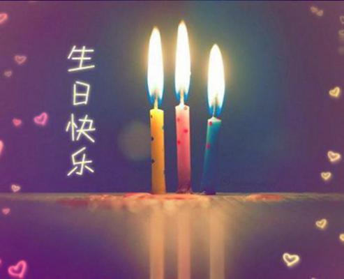 刺玫难驯：短篇小说阅读(姜疏宁傅西庭)最近更新