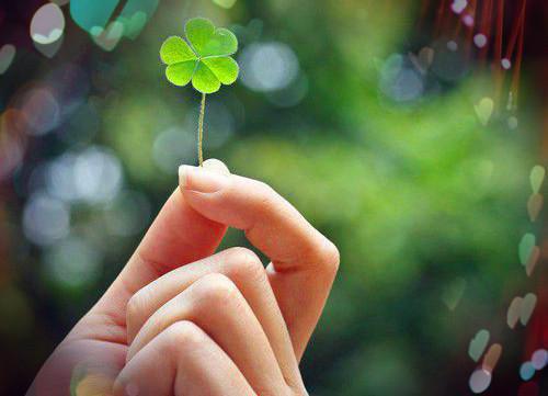 人面桃花长相忆：结局+番外必读实力派（闻砚辞阮雾梨阮见微）全文浏览_人面桃花长相忆：结局+番外必读实力派全文浏览