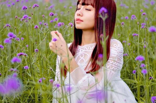 完结情如薄纱随风逝：裴宴宁江宿月宋星瑶全章节阅读
