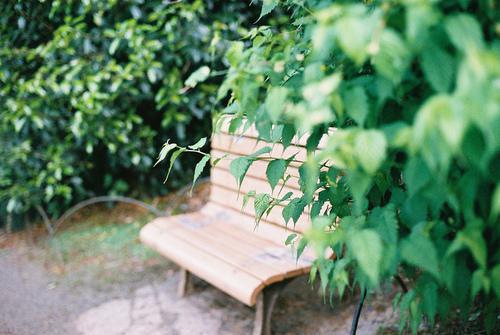 永生花谢，爱意凋零：完结爽文（姜若傅延之叶蓁蓁）最新推荐_最新推荐永生花谢，爱意凋零：完结爽文（姜若傅延之叶蓁蓁）