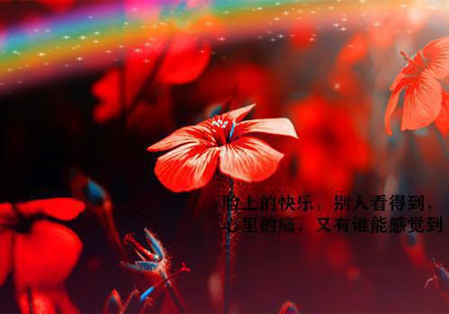 完结文一念情深，一念婚烬：结局+番外精选作品之一最新章节列表_完结文一念情深，一念婚烬：结局+番外精选作品之一全文免费阅读（傅青青卢振庭温素素）