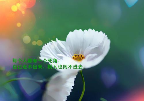 (番外)+(全文)被骂窃取死人技术后，我杀疯了：节选免费试读最新章节免费阅读_（林志远苏雨桐方展鹏）被骂窃取死人技术后，我杀疯了：节选免费试读全文免费在线阅读_笔趣阁（林志远苏雨桐方展鹏）