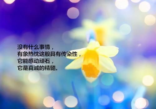 愿你看尽长安花：结局+番外+后续电子书下载孟贺初宋清沅顾平森