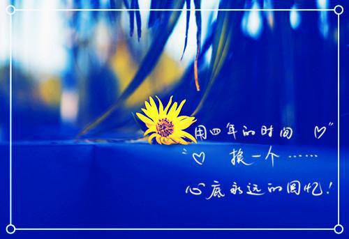 (番外)+(全文)阮雾梨闻砚辞阮见微：全部目录下载阅读_(阮雾梨闻砚辞阮见微)阮雾梨闻砚辞阮见微：全部目录最新章节列表_笔趣阁（阮雾梨闻砚辞阮见微）