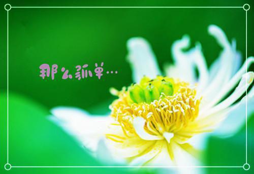 小说后续全文 第1章封王就藩小说后续全文秦阳宣帝完整版在线阅读_秦阳宣帝（第1章封王就藩）完结阅读无弹窗大结局