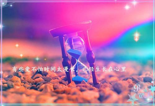 完结沈青禾霍沉洲高分完本全章节阅读