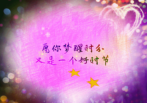 全本免费小说退婚后嫁高门，渣男一家急红了眼许照容,白小光完结版阅读
