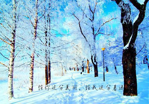 黑暗森林：是他们抵御了外族入侵宝藏（吴德修）全文免费_（吴德修）黑暗森林：是他们抵御了外族入侵宝藏后续阅读（吴德修）