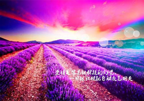 凌晨两点乔安宁被腹痛疼醒最新推荐_最新章节阅读凌晨两点乔安宁被腹痛疼醒