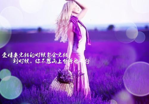 回首是潇潇暮雨：免费结局+后续（林婉兮霍亦铭）最新章节_回首是潇潇暮雨：免费结局+后续全文阅读