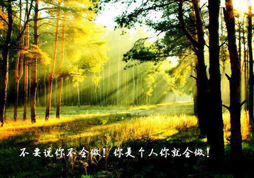 最新章节盛景太匆匆：,宁若曦沈砚舟完结_盛景太匆匆：,宁若曦沈砚舟完结已完结