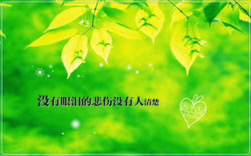 尔雅未知礼最新小说（赵尔雅宋知礼）全文阅读