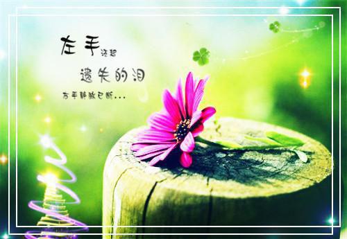春风许我意，不渡旧人心后续+最新章节列表_春风许我意，不渡旧人心后续+全文免费阅读(傅嘉义)