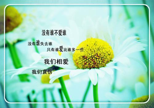 (番外)+(全文)追宠相亲林枫全文免费阅读无弹窗大结局_追宠相亲林枫最新章节列表_笔趣阁