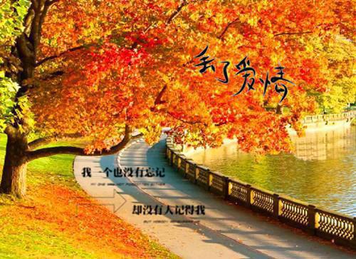 (番外)+(全文)他在永夜长眠：全集小说推荐(时砚清苏娆)小说最新列表_他在永夜长眠：全集小说推荐(时砚清苏娆)全文阅读无弹窗