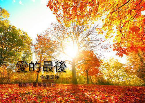 付斯越许南烟（风月与你再不相逢：全文+结局+番外）全文免费阅读无弹窗大结局_付斯越许南烟最新章节列表_笔趣阁（风月与你再不相逢：全文+结局+番外）