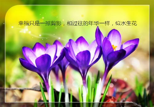 给摄政王当通房丫鬟五年后我逃了：完结+结局+番外一致好评（谢梨赫连城谢绾凝）已完结，给摄政王当通房丫鬟五年后我逃了：完结+结局+番外一致好评已完结