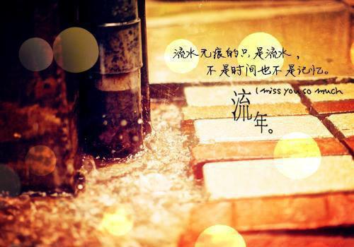 (番外)+(全文)御姐美妇找上门，是你孩子别不认免费下载阅读_(林执沈若嫣)林执沈若嫣最新章节列表_笔趣阁（林执沈若嫣）