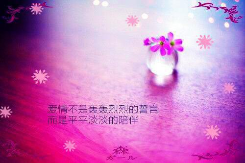 (番外)+(全文)不属于海的风：全文免费阅读最新章节免费阅读_（唐栖雾靳沉野孟之瑶）不属于海的风：全文免费阅读全文免费在线阅读_笔趣阁（唐栖雾靳沉野孟之瑶）