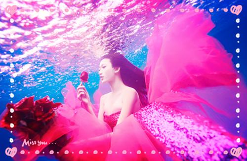 （秦见鹿谢梵声）我在回忆里万劫不复：全文无删减全文+后续