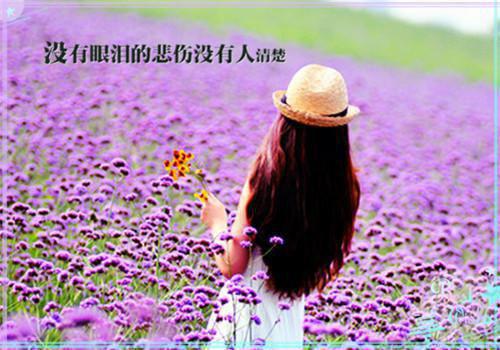 永生花谢,爱意凋零：彩蛋（姜若若傅延之）最新推荐_最新推荐永生花谢,爱意凋零：彩蛋（姜若若傅延之）