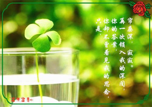 悟空穿越：我的供奉比天帝还多（孙悟空）全章免费版阅读