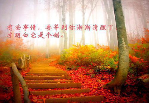 全本重生归来，我成家暴父亲帮凶（才对,全级）最新章节列表_全本重生归来，我成家暴父亲帮凶全文阅读
