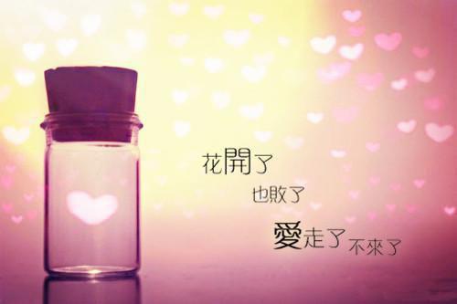 怀上双胞胎后，丈夫立马带我去做亲子鉴定（周凌裴澈周染绵绵）最新章节_怀上双胞胎后，丈夫立马带我去做亲子鉴定全文阅读