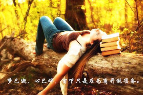 浮灯灿烂一朝：免费最新章节列表_浮灯灿烂一朝：免费全文免费阅读(梁明昭沈砚卿)