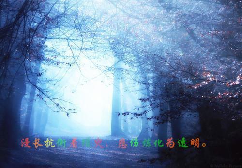 (番外)+(结局)莫凡白薇（男儿本色）全文免费阅读无弹窗大结局_(莫凡白薇)最新章节列表_笔趣阁（男儿本色）