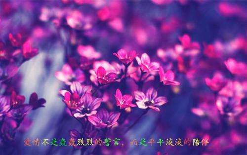 最新章节看飞絮吹乱烟雨：后续+结局（孟清慈程予桉林微澜）_看飞絮吹乱烟雨：后续+结局孟清慈程予桉林微澜最新章节