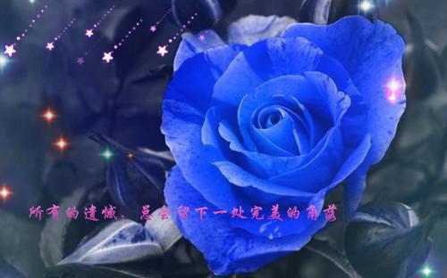 如果雪落满上海滩（宋时微傅景年林月娥）全文免费_（宋时微傅景年林月娥）如果雪落满上海滩后续阅读（宋时微傅景年林月娥）