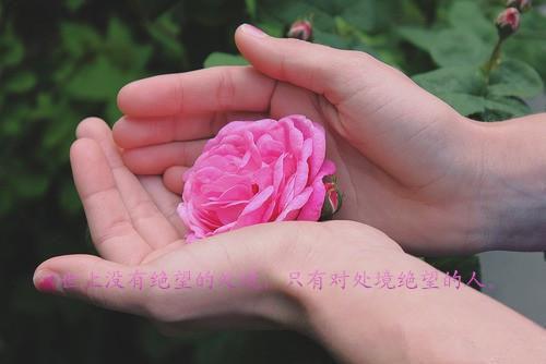 最新章节假结婚真恋爱，总裁套路深（陆景深晚星苏婉音）_假结婚真恋爱，总裁套路深陆景深晚星苏婉音最新章节