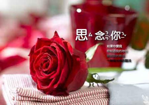 谭岁寒的小说她的偏执宠爱：结局+后续+完结谭岁寒慕心遥全文在线阅读