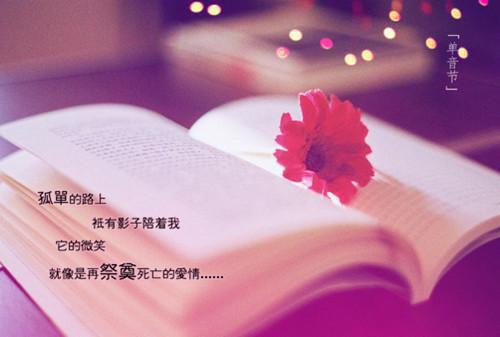 凉薄怎配情深：完结精选作品阮青杳陆景琛推荐完本_已完结凉薄怎配情深：完结精选作品（阮青杳陆景琛）