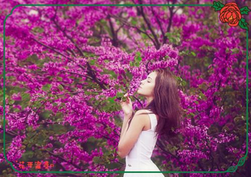 南风等不来候鸟：小说高潮章节抢先看（沈南风苏雨柔）全章免费版阅读