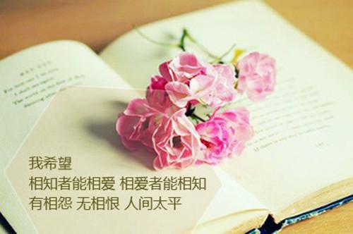 （江镜修 姜栀音 陆远乔）江镜修姜栀音陆远乔：精彩剧情在线阅读最近更新
