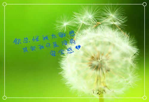 许思梨沈辞越：节选免费已完结_许思梨沈辞越：节选免费最新章节列表