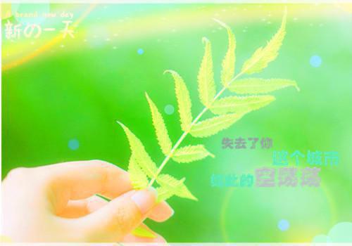 完结文当爱恨如潮生：结局番外最新章节列表_完结文当爱恨如潮生：结局番外全文免费阅读（裴叙白乔若梨）