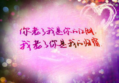 途径一场风月：+番外+后续最新小说（商予淮宋泠音夏予烟）全文阅读