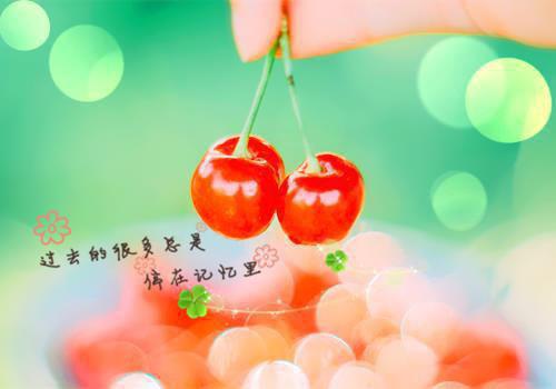 全章节小说初嫁时躲我，宅斗正起劲又出来碍事？主角为安锦佑霍靖珣阅读