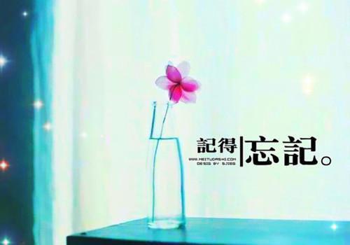 完结文你携恨来，我弃爱去：,江晚陆景淮最新章节列表_完结文你携恨来，我弃爱去：,江晚陆景淮全文阅读
